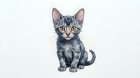 Young tabby kitten with gray and black striped coat and large amber eyes, isolated on white background, ready for design projects, greeting cards, and pet-related marketing materials.
