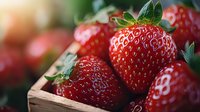 Fresh ripe red strawberries in wooden box close up macro shot with natural light and soft bokeh background, organic healthy berries with green leaves.