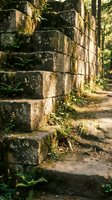 Aged stone wall with moss and lichen growth in forest setting, surrounded by green vegetation and natural woodland environment, suitable for nature and architecture projects.
