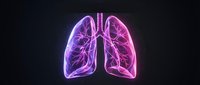 Human lungs anatomy with glowing pink neon effect on dark background showing respiratory system structure for medical education and healthcare concepts.