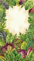 Fresh salad greens and leafy vegetables frame a cream background, perfect for food blogs, recipe designs, and culinary marketing materials.