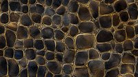 Dark brown leather texture with gold-lined embossed crocodile pattern creates luxurious surface design for fashion and upholstery backgrounds.