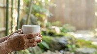 White ceramic mug held by senior male hands outdoors in garden setting with blurred green foliage background, suitable for beverage, lifestyle and wellness marketing.