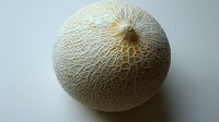 Fresh whole cantaloupe melon with textured netted rind pattern on neutral background, close-up view showing natural organic produce detail.