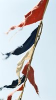 Weathered fabric flags with red white and blue colors fluttering in wind against pale sky background for patriotic holiday celebrations.