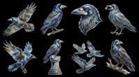 Detailed crow and raven clipart set, isolated on transparent background, ready for t-shirt design, stickers, print on demand, sublimation, and digital crafts.