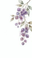 Watercolor purple berries branch with green leaves on white background, isolated botanical art for cards, prints, and invitations.