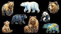 Bear species collection isolated on transparent background, ready for t-shirt design, clipart, stickers, sublimation and print-on-demand projects. Includes brown bear, polar bear, panda and colorful wildlife illustrations.