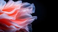 Ethereal flowing fabric in coral and white tones against black background creates abstract waves and folds with soft, translucent layers and graceful movement.