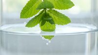 Fresh green mint leaves floating on clear water surface with natural lighting and soft reflections for wellness and aromatherapy concepts.