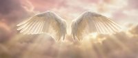Pair of white feathered wings spread wide against a soft, glowing sky with golden light rays and clouds, symbolizing spirituality, heaven, and divine protection.