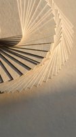 Spiral staircase casting dramatic shadows on textured wall creating geometric patterns in warm natural light for modern interior design concepts.