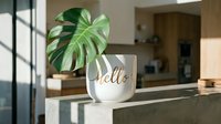 White ceramic pot with gold hello lettering and monstera leaf on concrete shelf in modern bright kitchen interior.