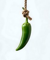 Fresh green jalapeno pepper hanging from rustic rope knot against white background, isolated food photography for culinary and menu designs.
