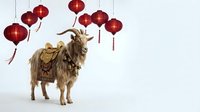 Decorative goat with ornate saddle standing beside hanging red Chinese lanterns on white background for festive celebrations and cultural designs.