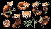 Red panda collection with isolated animals on transparent background, ready for t-shirt designs, clipart, stickers, sublimation, print-on-demand products and digital crafts.