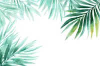 Watercolor tropical palm leaves frame on white background, creating fresh mint green botanical border for summer designs.