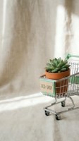 Potted succulent plant in terracotta pot inside miniature shopping cart with eco-shop label on neutral beige background. Sustainable shopping and green retail concept.
