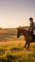 Young woman horseback riding at golden hour sunset in countryside field wearing equestrian helmet and jacket for outdoor recreation and sport activities.