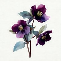 Watercolor purple hellebore flowers with blue-green leaves on light background for botanical art, wedding invitations and floral design projects.