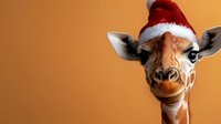 Adorable baby giraffe wearing red Santa hat on orange background. Close up portrait of young giraffe face showing festive Christmas spirit and playful expression.