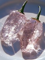 Two fresh hot chili peppers frozen in clear ice cubes with dramatic lighting and shadows on white surface for culinary and cooking concepts.