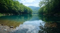 Tranquil mountain lake with crystal clear turquoise water reflecting lush green forest and summer sky, rocky shore in foreground creates natural frame for wilderness landscape.