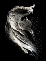 White powder explosion creating dynamic abstract shape against black background, captured in high-speed photography with dramatic particle dispersion effect.