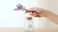 Hands holding dried lavender flowers over glass jar with cork stopper on wooden surface against white background.