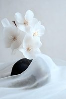 Delicate white jasmine flowers on flowing silk fabric with black stone, creating minimalist zen composition in soft light for spa and wellness design.