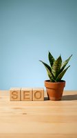 SEO wooden blocks with snake plant in terracotta pot on desk representing digital marketing growth and organic search optimization strategies.