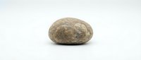 Single smooth gray granite stone with natural speckled texture isolated on white background for zen meditation, spa decoration, and landscaping projects.