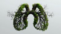 Human lungs formed by green trees and branches against light background, creative environmental health concept showing connection between nature and anatomy.