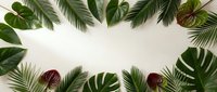 Tropical leaves frame with palm fronds and monstera creating natural border on white background for summer design projects and botanical themes.