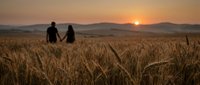 Couple silhouettes holding hands in golden wheat field at sunset with mountains in background creating romantic agricultural landscape scene.