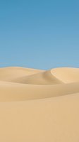Smooth sand dunes with undulating curves against clear blue sky, showcasing desert landscape and natural textures for travel and nature designs.