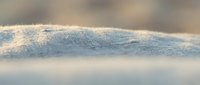 Macro shot of frost crystals forming delicate patterns on a frozen surface, showcasing winter's natural crystalline structures and cold weather details.