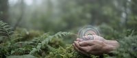 Young adult male hand holding glowing spiral target symbol above green moss and fern plants in forest environment, representing business goals, success strategy, and nature connection.