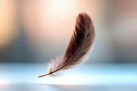 Delicate brown feather floating against soft blue and peach bokeh background, creating ethereal atmosphere for spiritual and natural design concepts.