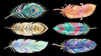 Colorful feather collection with watercolor style designs in various hues including peacock, rainbow, and metallic tones, isolated on transparent background ready for t-shirt designs, clipart, stickers, and print-on-demand products.
