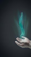 Glowing spine hologram floating above open palm showcasing medical technology and healthcare innovation for chiropractic and orthopedic treatments.