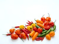 Assorted fresh chili peppers and bell peppers in red, orange, and yellow varieties arranged on white background for culinary and food styling projects.