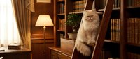 Fluffy Persian cat sitting on wooden ladder in cozy home library with bookshelves, warm lighting and vintage furniture creating peaceful reading atmosphere.