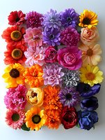 Vibrant collection of colorful garden flowers arranged in rainbow order including roses, dahlias, gerberas and sunflowers on white background for floral design and decoration.