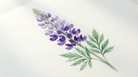 Watercolor lupine flower with purple blooms and green foliage on white background. Botanical illustration for spring garden designs and floral projects.