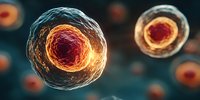 Glowing cellular structures with orange and red cores floating in dark blue microscopic environment. Scientific medical visualization.