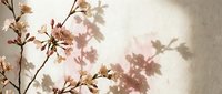 Delicate cherry blossom branches cast soft shadows on textured wall surface creating peaceful spring atmosphere for interior design and wellness concepts.