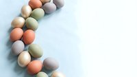 Colorful pastel Easter eggs arranged in curved line on white background creating decorative border with copy space for spring holiday designs.
