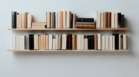 Minimalist wooden shelves with vintage and modern books in neutral beige, brown and black tones arranged on white wall, perfect for home library design.