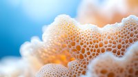 Macro photography of white foam bubbles creating abstract organic texture against blue background, showing delicate soap suds pattern and light effects.